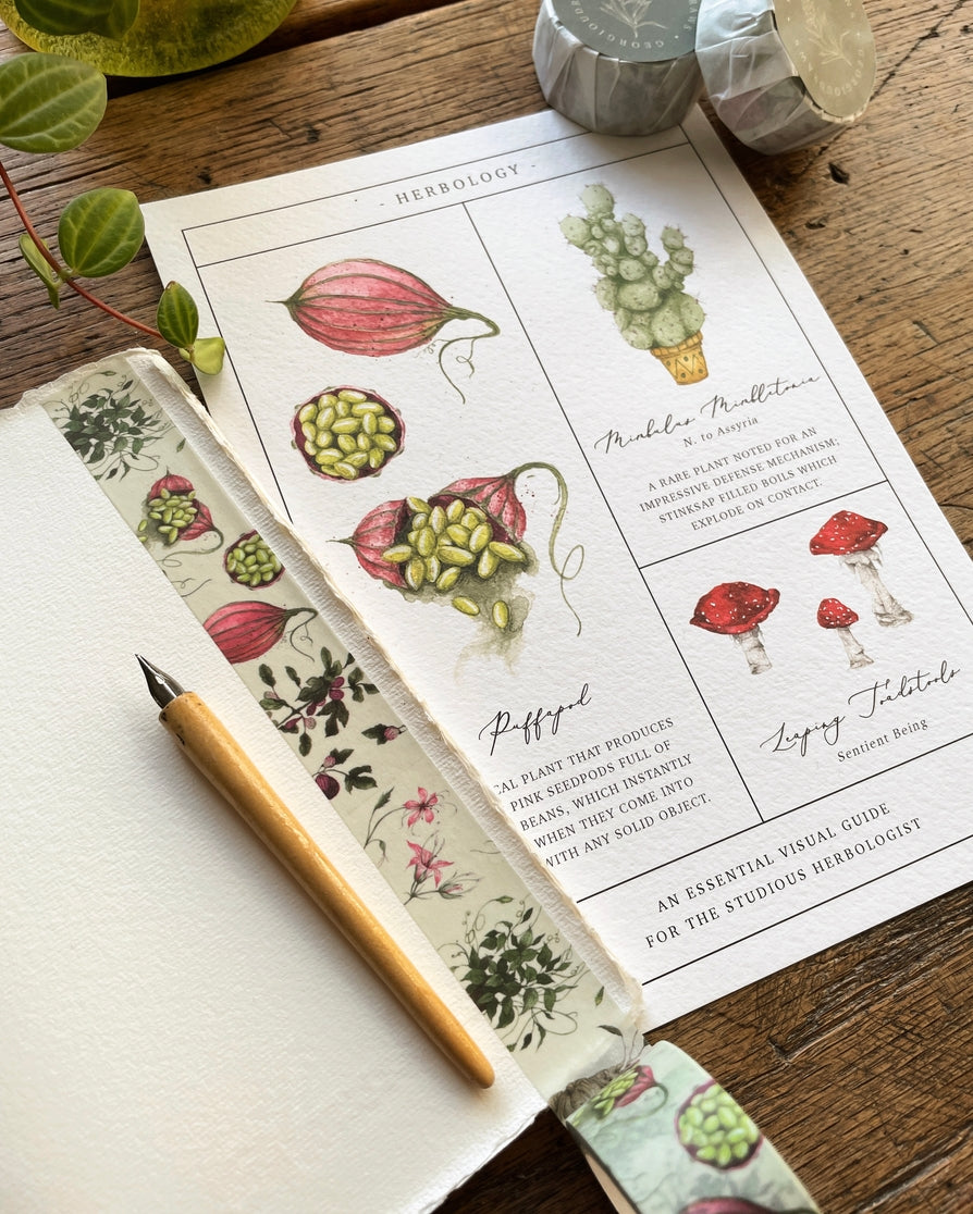 Cinta washi con motivos botánicos y herbarios mágicos
