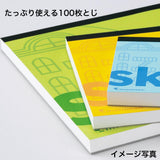 Maruman Soho Sketch Pad - B5