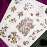 Archer and Olive Berries &amp; Vines Sticker Set
