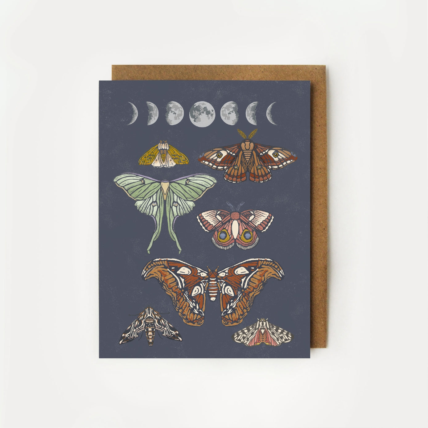 Juego de 8 cartas en caja para uso diario de Moonlit Moths