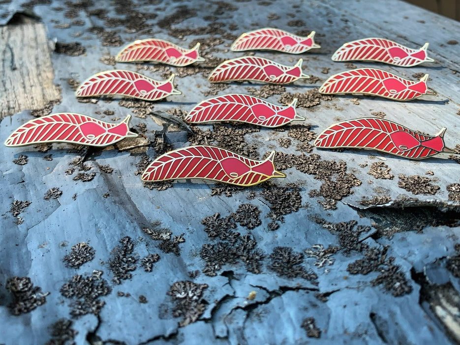 Mt Kaputar Pink Slug Pin