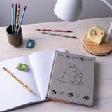 My Neighbor Totoro Sketchbook