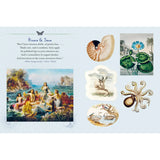 This sticker book features more than 400 nature-themed artworks, both vintage and vintage inspired, celebrating the bounty and magic of Earth. The book is organized into six sections devoted to the vibrant diversity of our planet: Rivers; Seas, Earth; Harvest, Mountains; Sky, Forests; Woodlands, Gardens; Flowers, and Deserts, Prairies; Plains and the corresponding flora, fauna, gods, goddesses, fairies, and other mystical creatures. Each section is introduced with a poetic thematic quote.

The stickers are 