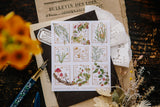 OURS Studio Wild Wreath 2 Stamp Sticker