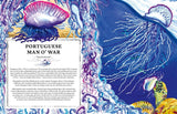 Oceanopedia: An Encyclopedia of Marine Creatures

Discover an incredible world hidden beneath the waves with this beautiful encyclopedia of our oceans and the animals that live in and around them.