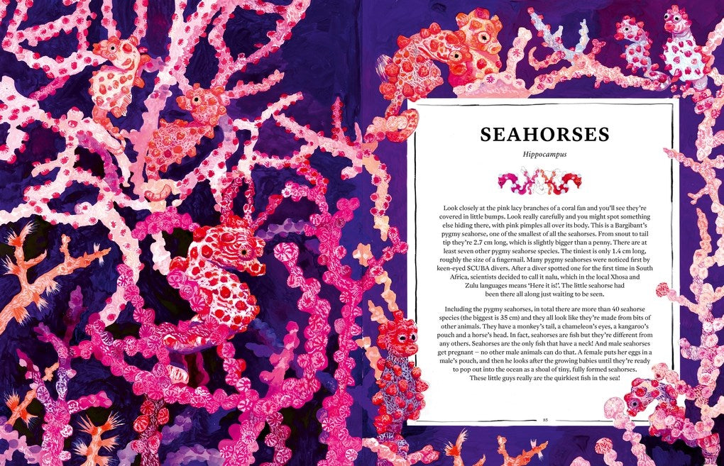 Oceanopedia: An Encyclopedia of Marine Creatures

Discover an incredible world hidden beneath the waves with this beautiful encyclopedia of our oceans and the animals that live in and around them.
