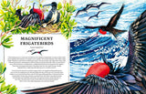 Oceanopedia: An Encyclopedia of Marine Creatures

Discover an incredible world hidden beneath the waves with this beautiful encyclopedia of our oceans and the animals that live in and around them.