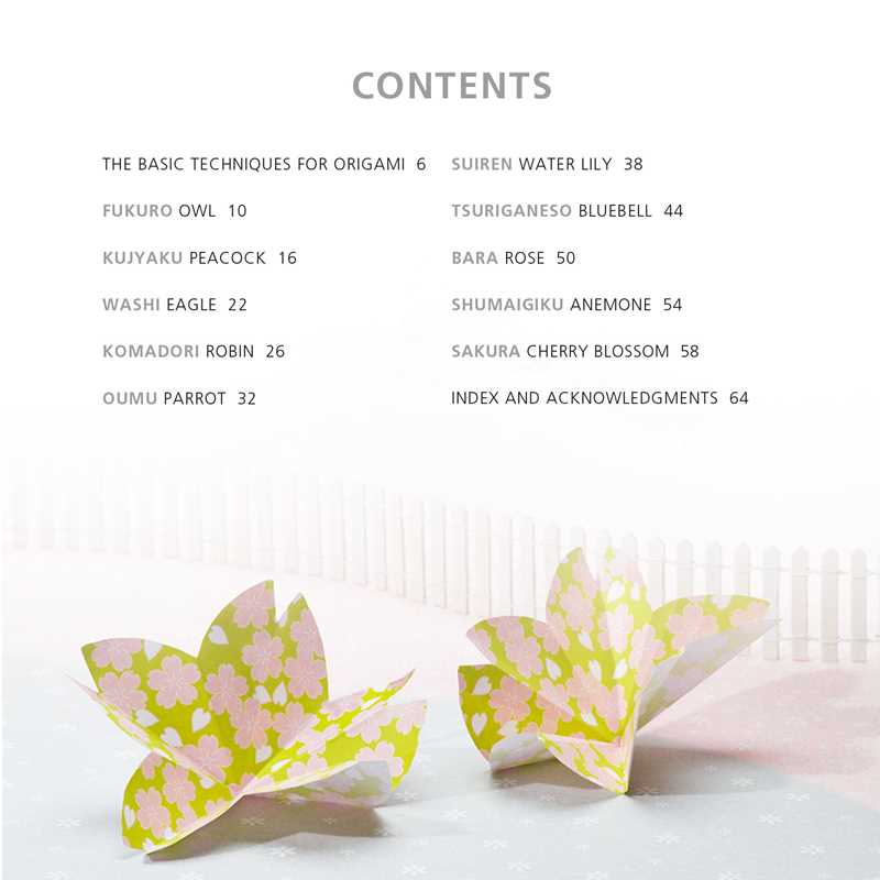 Featuring a 64-page book, plus 250 sheets of origami paper, try these 15 origami models that are inspired by the elegant beauty of flowers and birds.

Origami Flowers and Birds explores the best nature has to offer, with a 64-page instruction book that guides you step by step through 15 paper projects, including a crane, owl, robin, rose, tulip, and more. To get you started, 250 sheets of traditional origami paper are provided, so you can explore your creativity, right from the get go. 