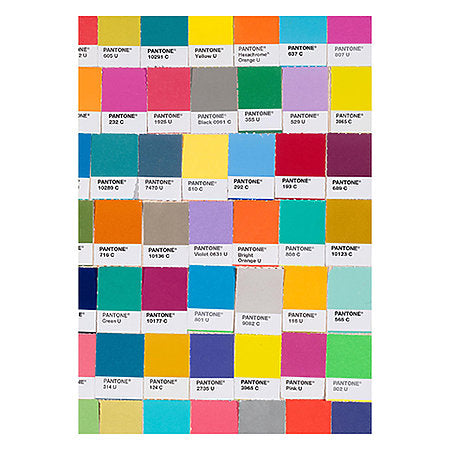 Pantone Chips Journal