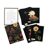 Each exquisite paper flower in this elegant collection blooms with extraordinary detail and color. Eighteenth-century British artist Mary Delany created each piece by cutting and layering tiny pieces of paper on black ink backgrounds. The fine shading and depth are as intricately detailed as a botanical illustration and scientifically accurate as well. Printed on thick, textured paper, the set features sunflowers, rhododendron, cornflower, water lilies, and more. Perfect for any occasion that warrants beaut
