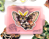 “Pine” is a sticker from the Moth Cat series and is inspired by the Pandora Pinemoth, a native species to Oregon. 

Moth Cats are a curious and captivating species. The colorful and detailed illustrations are original paintings on birch wood panels.

+ size: 1.7 x 2.3"
+ permanent adhesive glossy vinyl sticker with solid peel backing
+ scratch and weather resistant material, PVC free
+ packaged and shipped flat

All work and photos ©PAPER PUFFIN Art by K.CARLSON