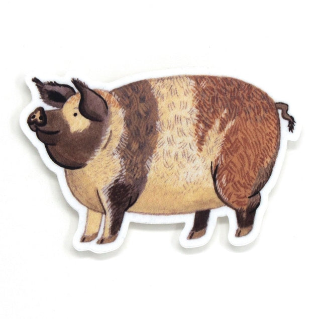 Pegatina de cerdo 