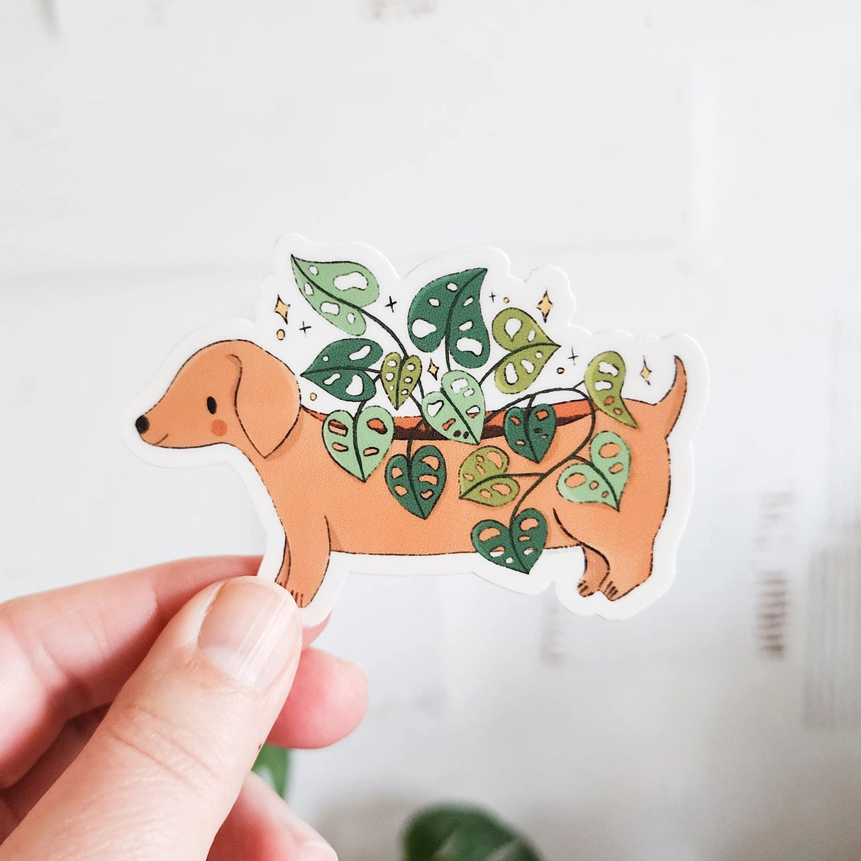 A charming dachshund planter rests among leafy greenery, a thriving cheese plant growing from its back like a small piece of playful décor. This vinyl sticker captures that cozy, plant-filled still life, adding a touch of warmth and whimsy to your everyday essentials.

Made from durable, waterproof vinyl, this sticker is designed to hold up wherever you place it—whether that’s a water bottle, laptop, or journal you reach for daily.