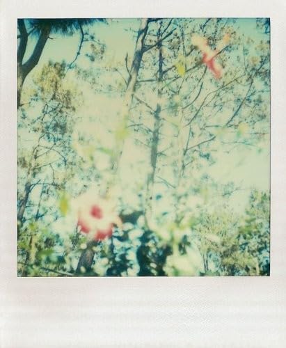 Polaroid film may have been discontinued, but its dreamy evocative spirit lives on in this covetable keepsake box of notecards.