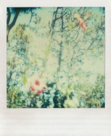 Polaroid film may have been discontinued, but its dreamy evocative spirit lives on in this covetable keepsake box of notecards.