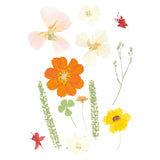 Set de flores y plantas prensadas en mezcla de naranja natural