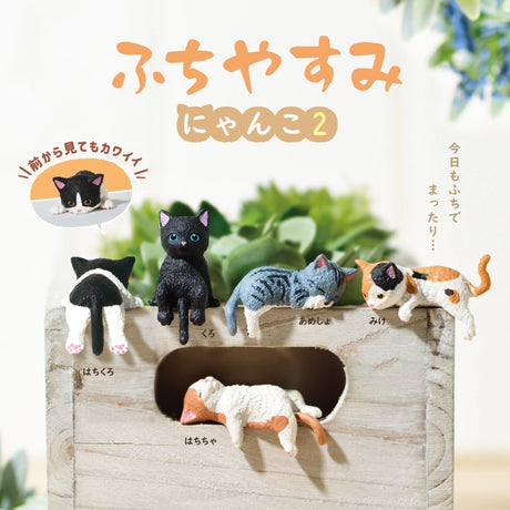 This is a sequel to the popular series "Futchiyasumi Nyanko". Cute kittens of various kinds are relaxing using "Futchi" today... The kittens' innocent poses are cute!

Lineup (6 Variants):

Black x White
Black&nbsp;
American Shorthair
Calico cat
Brown x White