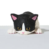 This is a sequel to the popular series "Futchiyasumi Nyanko". Cute kittens of various kinds are relaxing using "Futchi" today... The kittens' innocent poses are cute!

Lineup (6 Variants):

Black x White
Black&nbsp;
American Shorthair
Calico cat
Brown x White