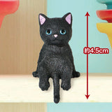 This is a sequel to the popular series "Futchiyasumi Nyanko". Cute kittens of various kinds are relaxing using "Futchi" today... The kittens' innocent poses are cute!

Lineup (6 Variants):

Black x White
Black&nbsp;
American Shorthair
Calico cat
Brown x White