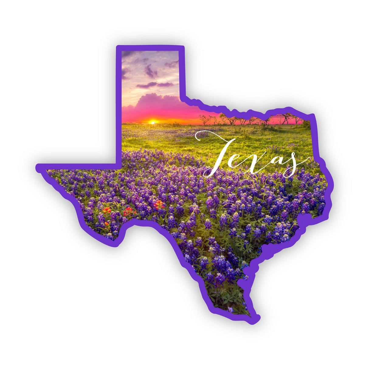 Texas Bluebonnets Vinyl Sticker