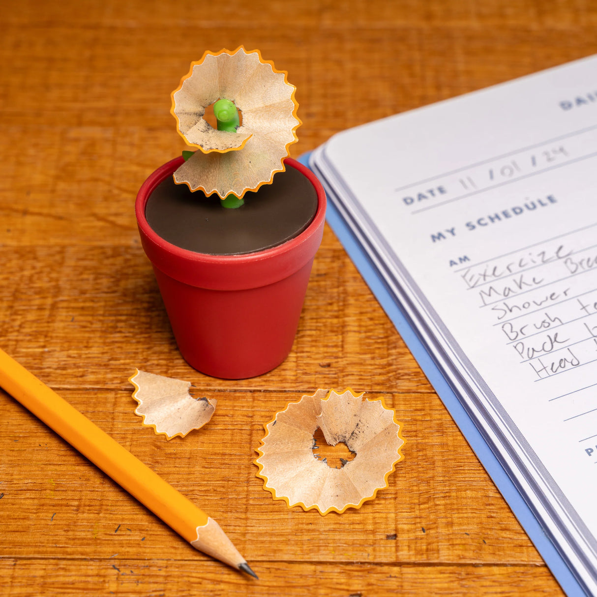 Flower Pot Pencil Sharpener