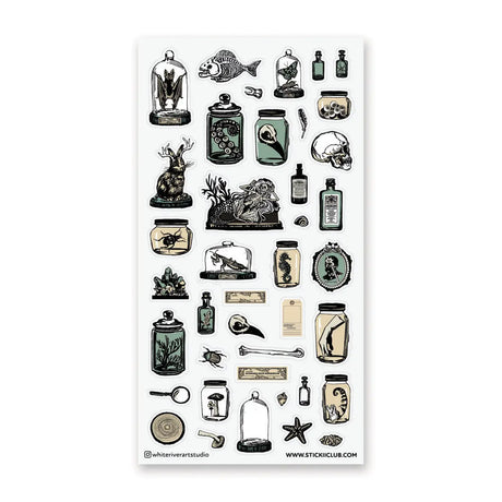 🦴 Step into a shadowy collector’s study with @whiteriverartstudio’s beautifully eerie sheet, filled with preserved specimens, glass jars, bones, skulls, sea creatures, botanicals, and curious little relics. With its antique museum feel and moody natural history details, this sheet is perfect for anyone drawn to the strange, the beautiful, and the wonderfully mysterious.