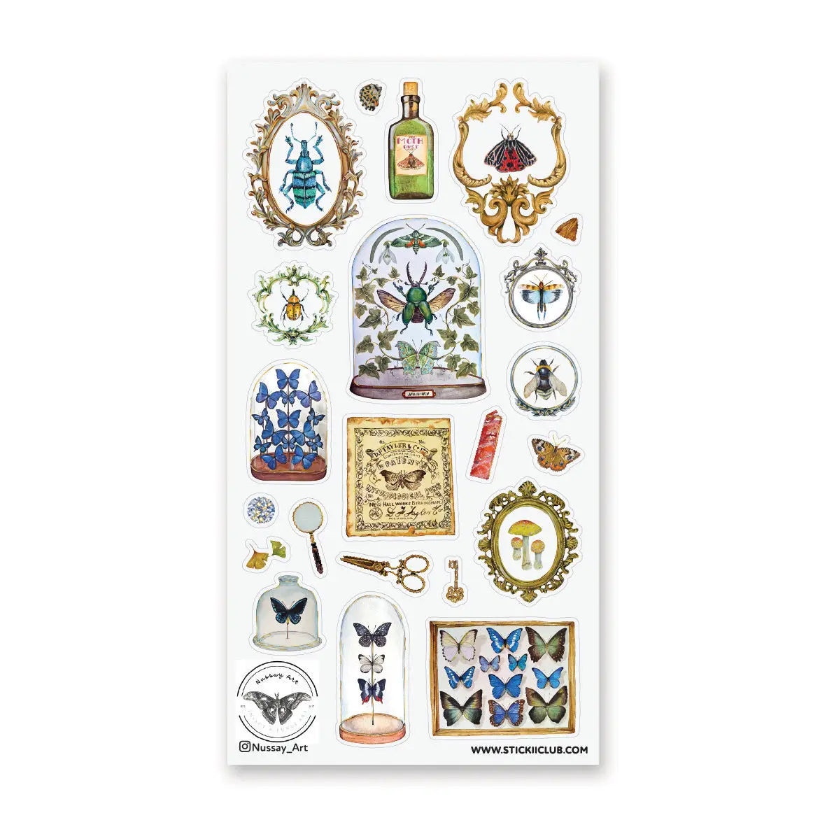 🦋🔍 Explore an enchanting cabinet of wonders with @nussay_art’s mesmerizing entomology collection. Jewel-toned beetles, delicate butterflies, and mysterious moths rest beneath glass domes and within ornate vintage frames, like tiny treasures on display to bring to life the magic of old naturalists and their treasured discoveries.