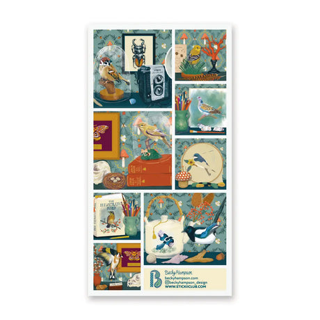 🪶🐦 Perched among the shelves of @beckyhampson_design’s collection is a delightful display of avian treasures, like a perfectly curated mini museum! From vintage books, paintings, and even a whimsical bird-adorned teapot, discover charming details at every turn with this sheet that’s sure to delight collectors and nature lovers alike.