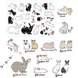 This collaboration with Moriyama, who has a wonderful shop in Ota Ward, Tokyo, and Shiko Moriyama, an illustrator who draws adorable rabbits.

"Fluffy Rabbit" is a clear stamp in the style of a rabbit's encyclopedia. It is divided into 10 types of rabbit base outline stamps, such as Netherland Dwarf, Holland Drop, and Flemish Giant, and coloring stamps that serve as patterns. You can stamp it in any color you like, so if you have a rabbit in your family, please try stamping it in the color of "my child"!