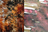 Dominant Industry Pearl Ink 25ml - Autumn Forest