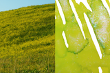 Dominant Industry Pearl Ink 25ml - Spring Fields