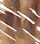 Dominant Industry Standard Ink 25ml - November Leaves
