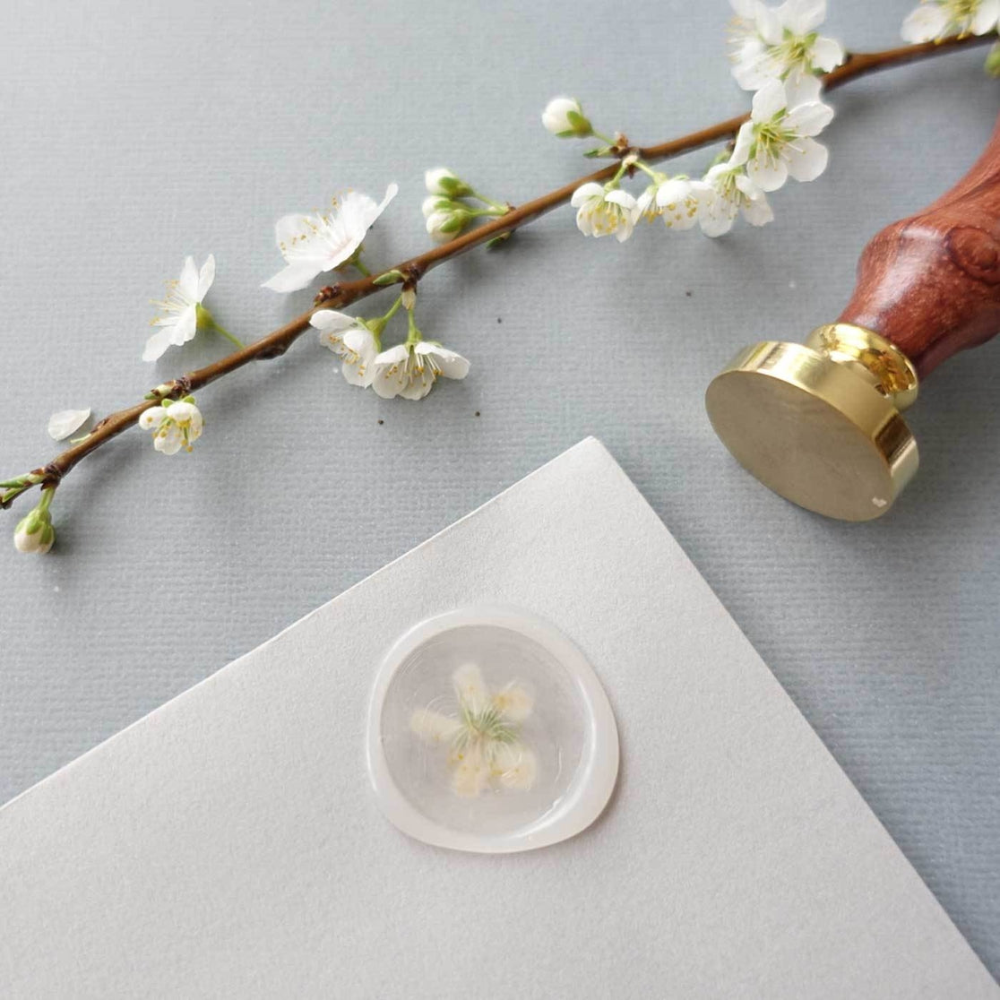 Semi Transparent Clear 100pcs Sealing Wax Beads