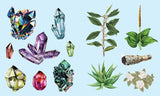 Sticker Studio: Apothecary Sticker Gallery For Mystics