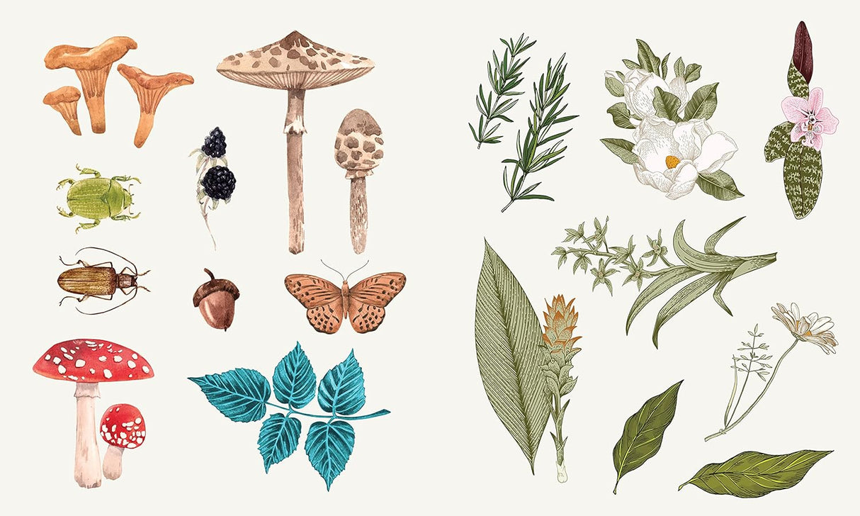 Sticker Studio: Apothecary Sticker Gallery For Mystics