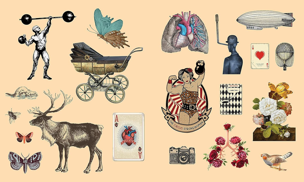 Sticker Studio: Arcana Vintage Ephemera Gallery