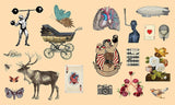 Sticker Studio: Arcana Vintage Ephemera Gallery