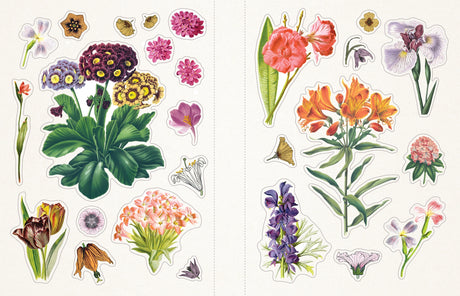 Welcome to Floribunda!
Step into a secret garden where wildflowers bloom, butterflies flutter, and woodland creatures wander through sun-dappled clearings. Invite magic and wonder into your life with Floribunda, a gorgeous selection of stickers featuring vintage flora and fauna illustrations, curated from the best-selling Sticker Emporium collection, Woodlandia.

This stunning sticker book contains more than 500 stickers with beautiful botanical and naturalist illustrations from the Gilded Age through the 1