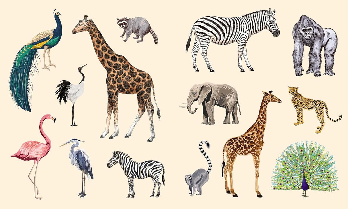 Sticker Studio: Menagerie - Animal Kingdom Gallery