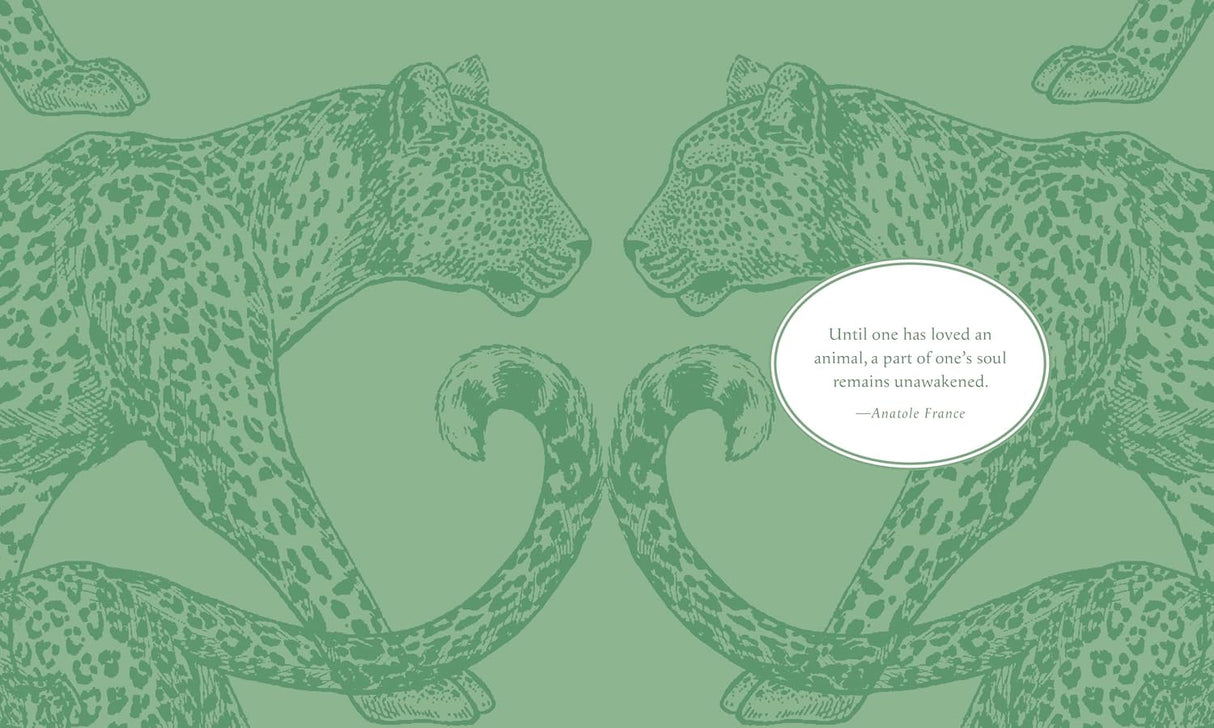 Sticker Studio: Menagerie - Animal Kingdom Gallery