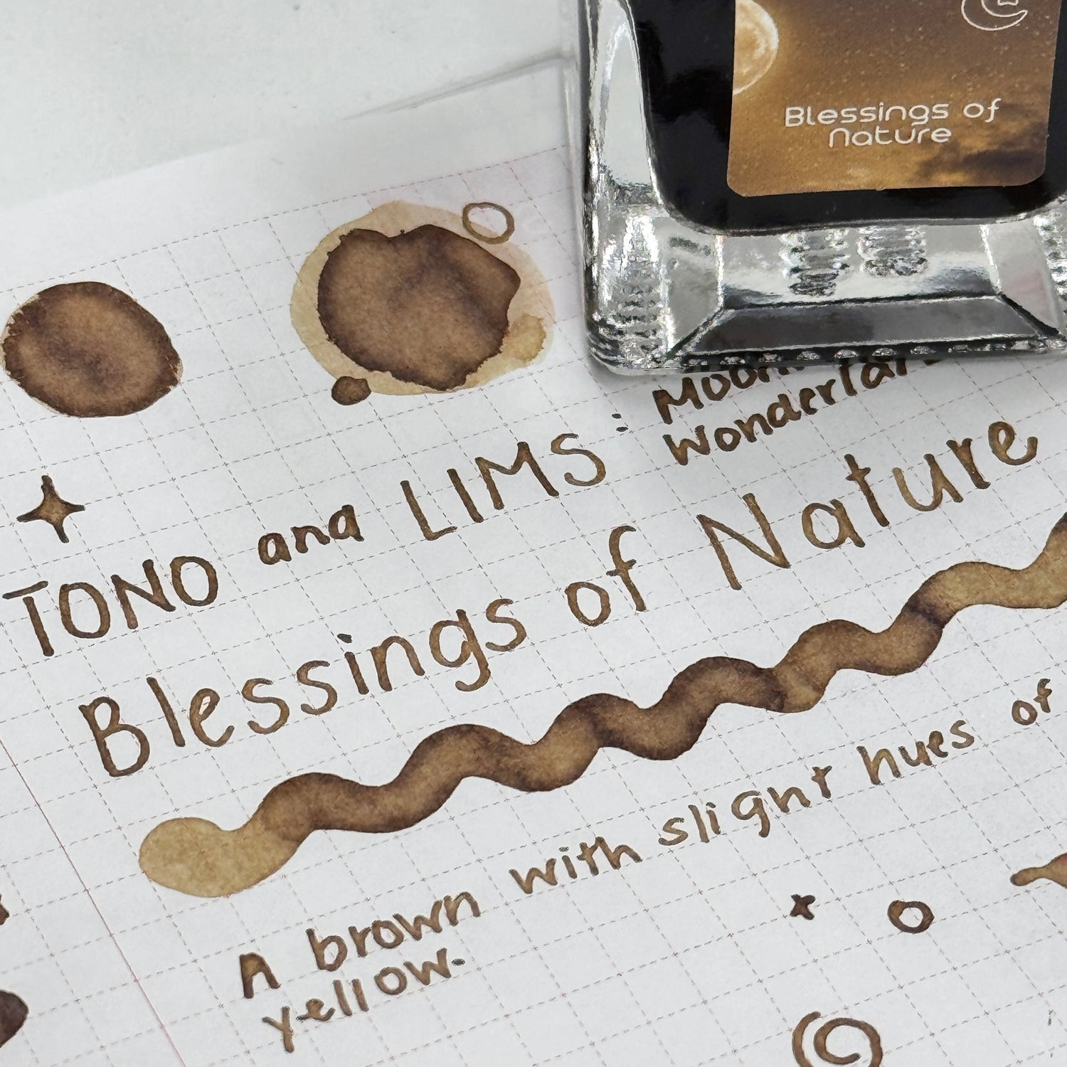 TONO & LIMS - Moonlight Wonderland - Blessings of Nature Ink
