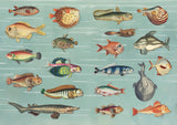 With hundreds of sticky curiosities ready to beautify your junk journal or collage, this book is the perfect companion to The Ransom Note Sticker Book. This cute little sticker book is packed with extraordinary images that can be used for scrapbooks, journals, collaging, and many other creative pursuits.

The stickers are all vintage illustrations. There are 40 spreads of stickers, over 600 altogether, presented in categories and interspersed with quirky vintage backgrounds. Examples include: Vintage cute t