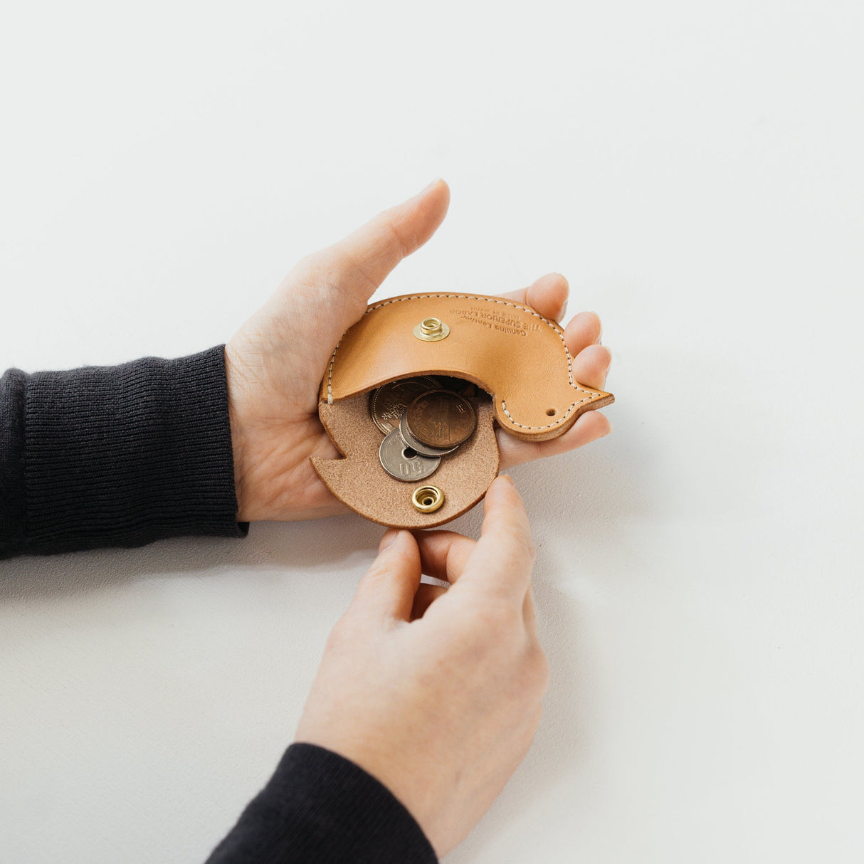 The SUPERIOR LABOR TSL Bird Coin Case