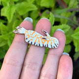 Tooth-Edged Chromodoris Nudibranch Pin