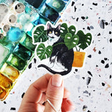Tuxedo Cat with Monstera Sticker