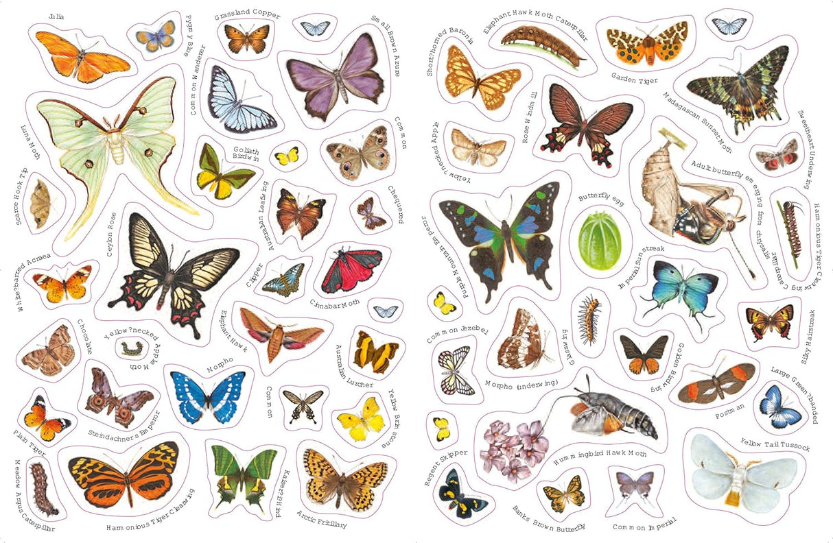 Ultimate Butterfly Sticker Book with 100 Amazing Stickers By Armadillo Press