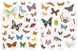 Ultimate Butterfly Sticker Book with 100 Amazing Stickers By Armadillo Press