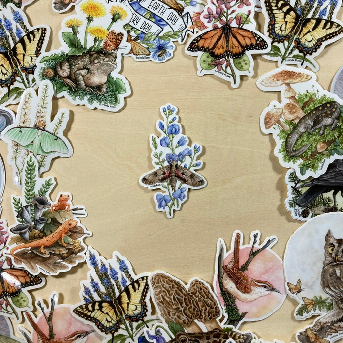 Achemon Sphinx Moth On Wild Indigo Vinyl Sticker