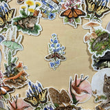 Achemon Sphinx Moth On Wild Indigo Vinyl Sticker