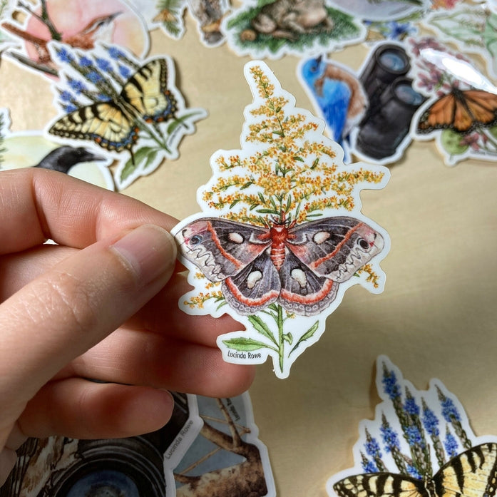 Cecropia Moth On Goldenrod Vinyl Sticker